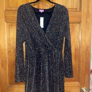 Francesca’s Elegant Black Glitter Dress. Never worn.